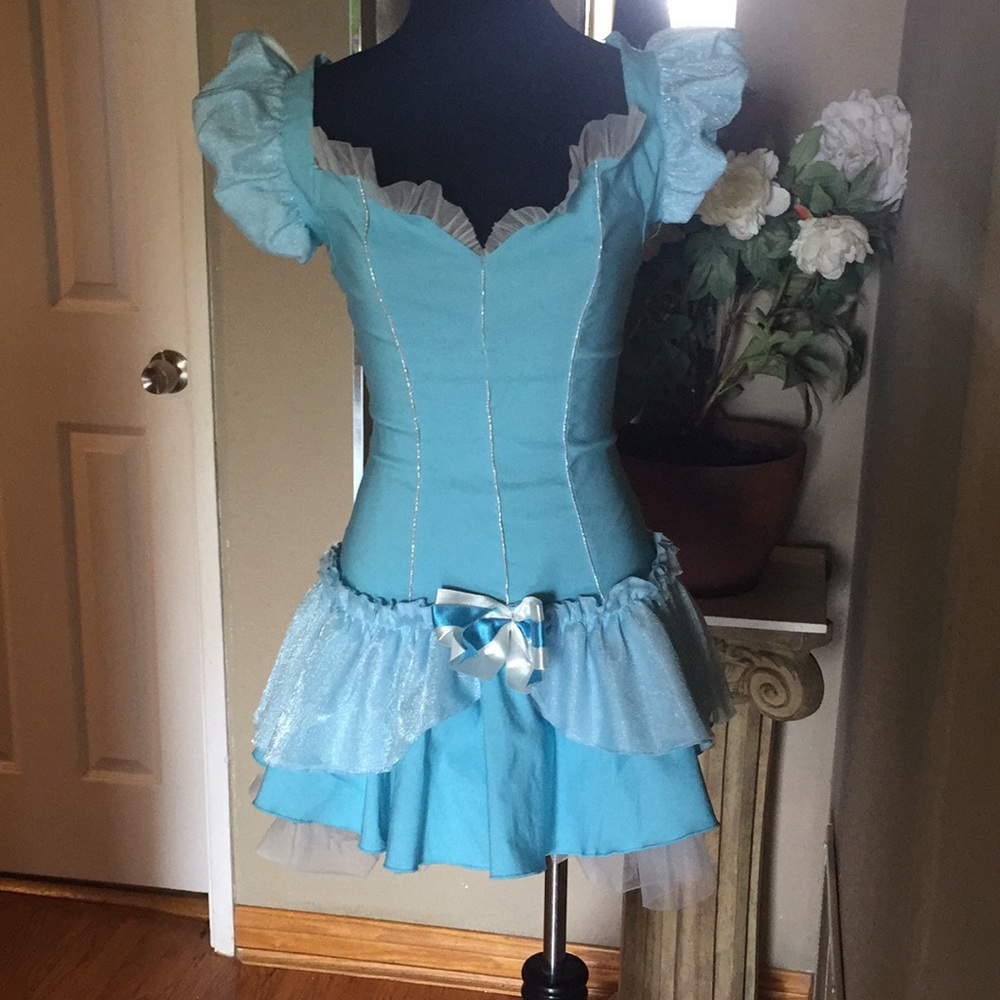 Halloween Disney Cinderella Adult Costume